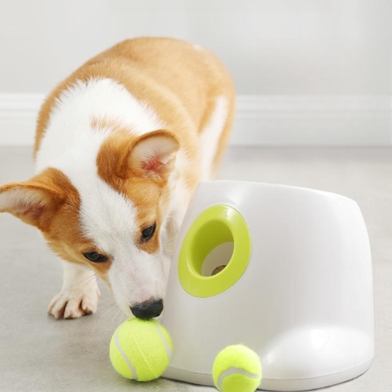 dog and dog ball launcher