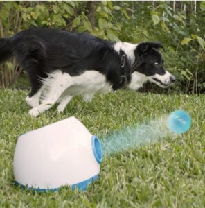 auto ball launcher for dogs