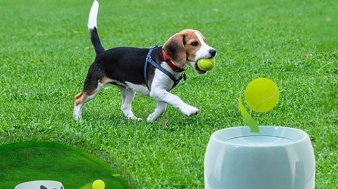 dog ball launcher