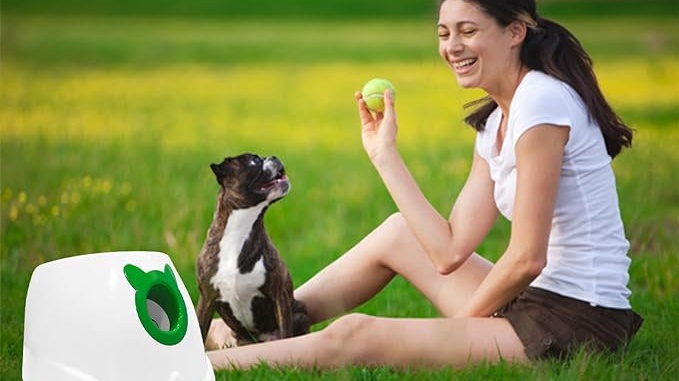 play a ball game with dog by launcher
